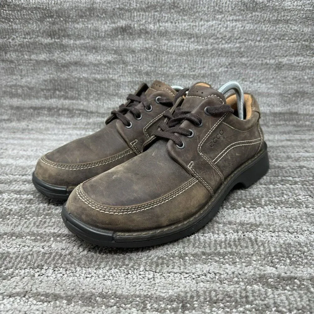 Ecco elevate your